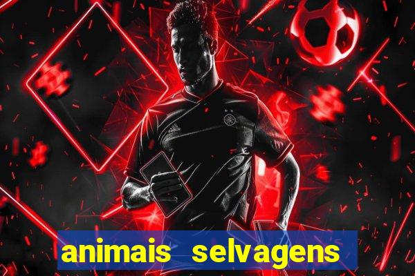 animais selvagens fotos e nomes